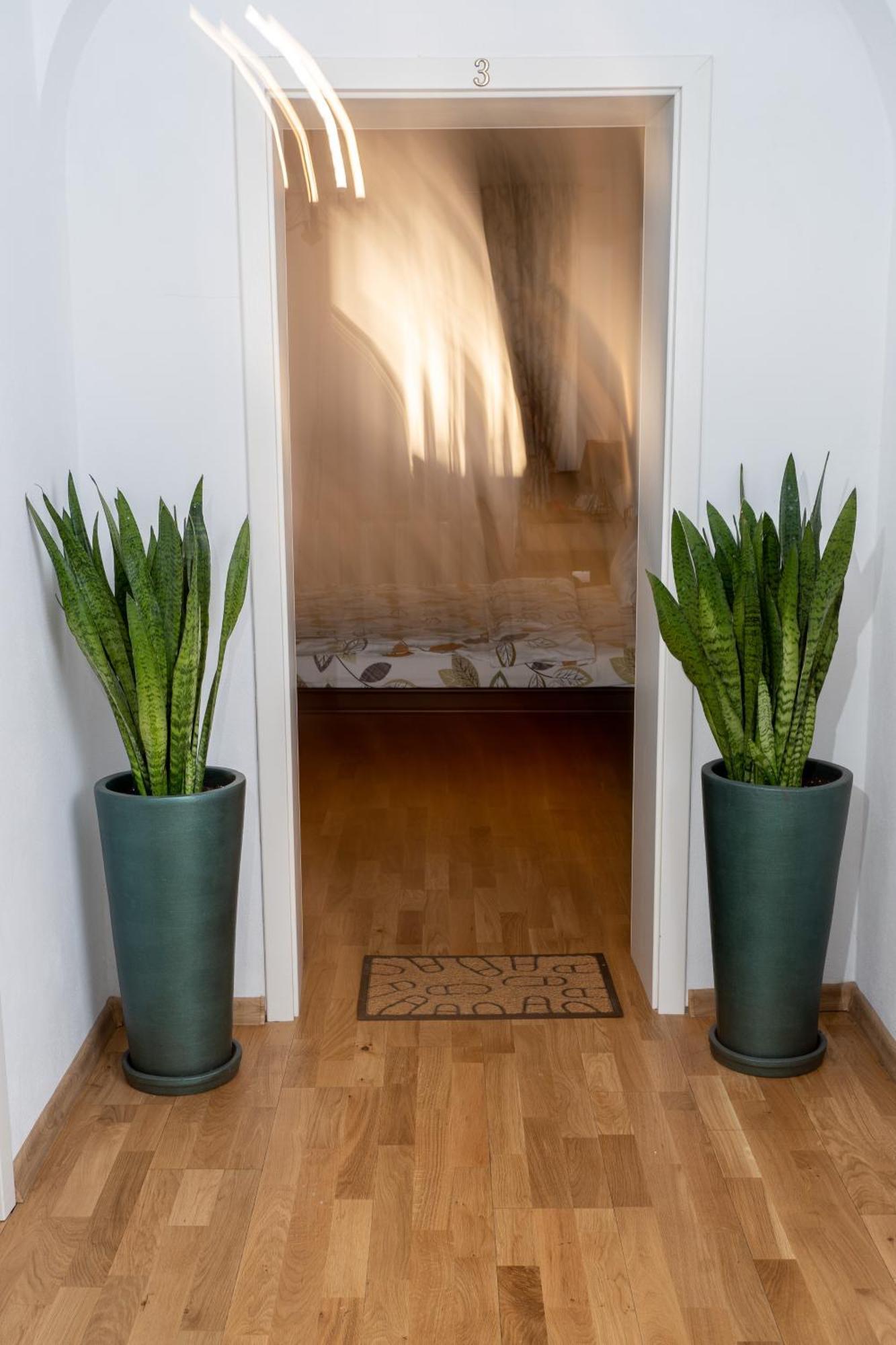 Downtown Sibiu Apartment Bagian luar foto